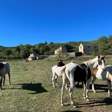 Les Distinguees - L Ayral 度假居 Gaillac-d'Aveyron