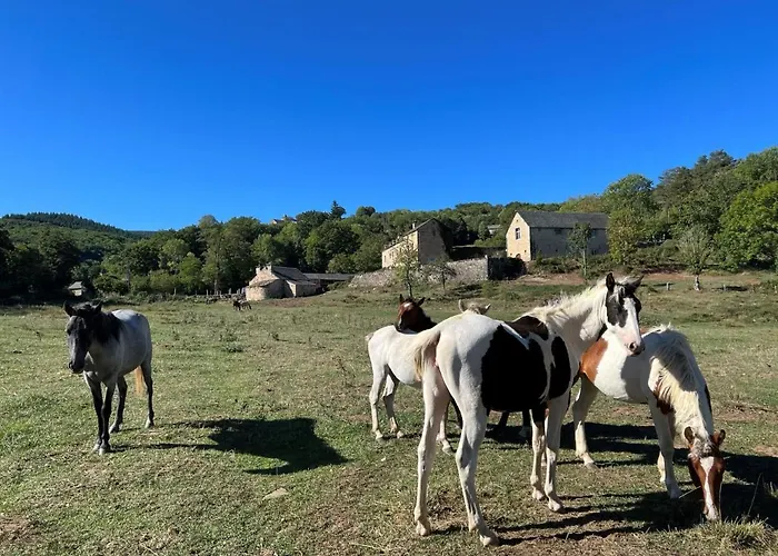 Les Distinguees - L Ayral Nyaraló Gaillac-d'Aveyron