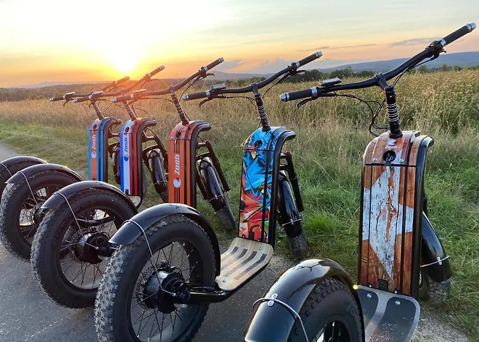 Les Distinguees - L Ayral Nyaraló